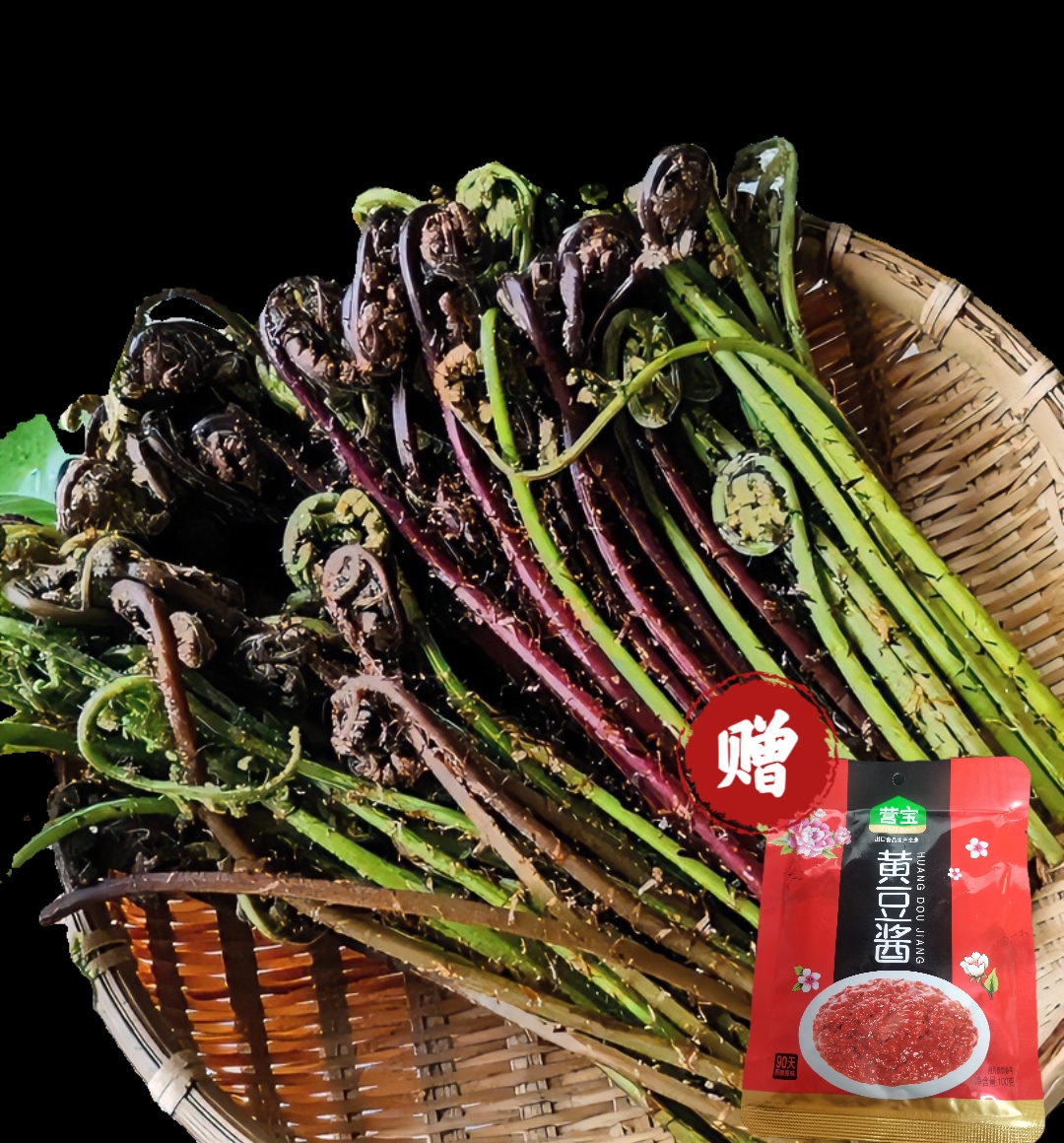 东北原生态山菜猴腿冷冻发货 多规格可选