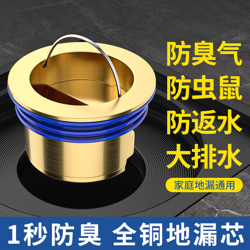 卫生间全铜防臭地漏芯防虫防堵防异味神器卫浴地漏防臭防飞虫神器