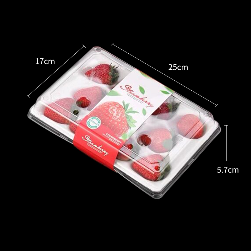 一次性草莓盒子包装盒透明塑料打包盒水果盒装草莓的盒子15粒带托