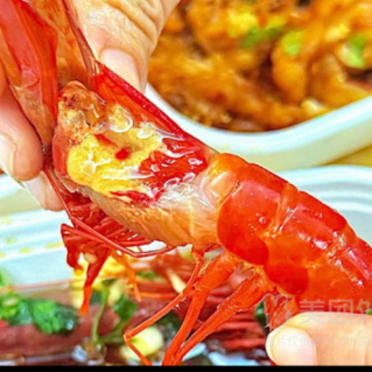 生腌红魔虾（一只）