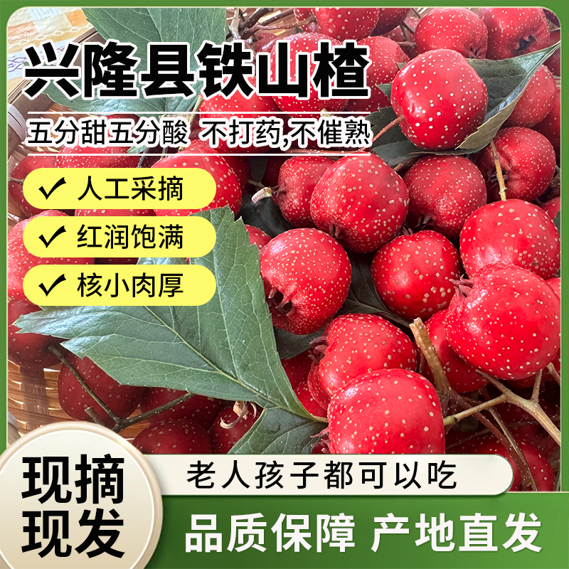 【海南青海专属】兴隆特产水果甜山楂野山楂儿童老人开胃糖葫芦酸甜