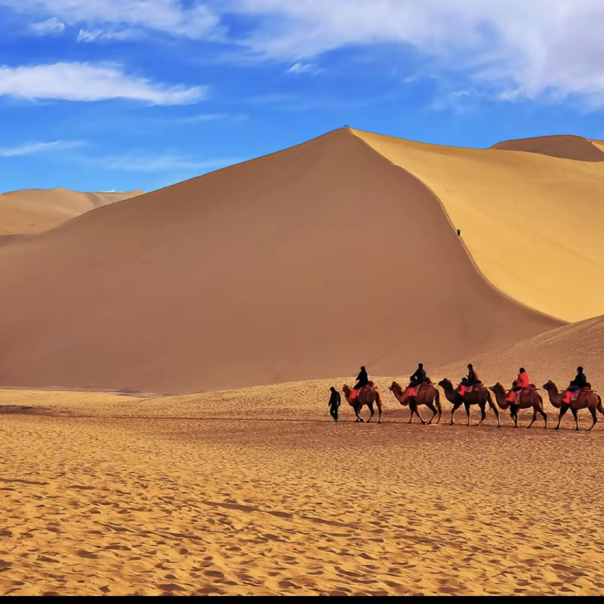 新疆奇石戈壁石 直播专用 请选择对应链接付款