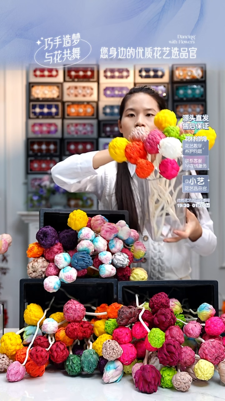 【闪购商品】F17mini洋蓟15枝（接杆）