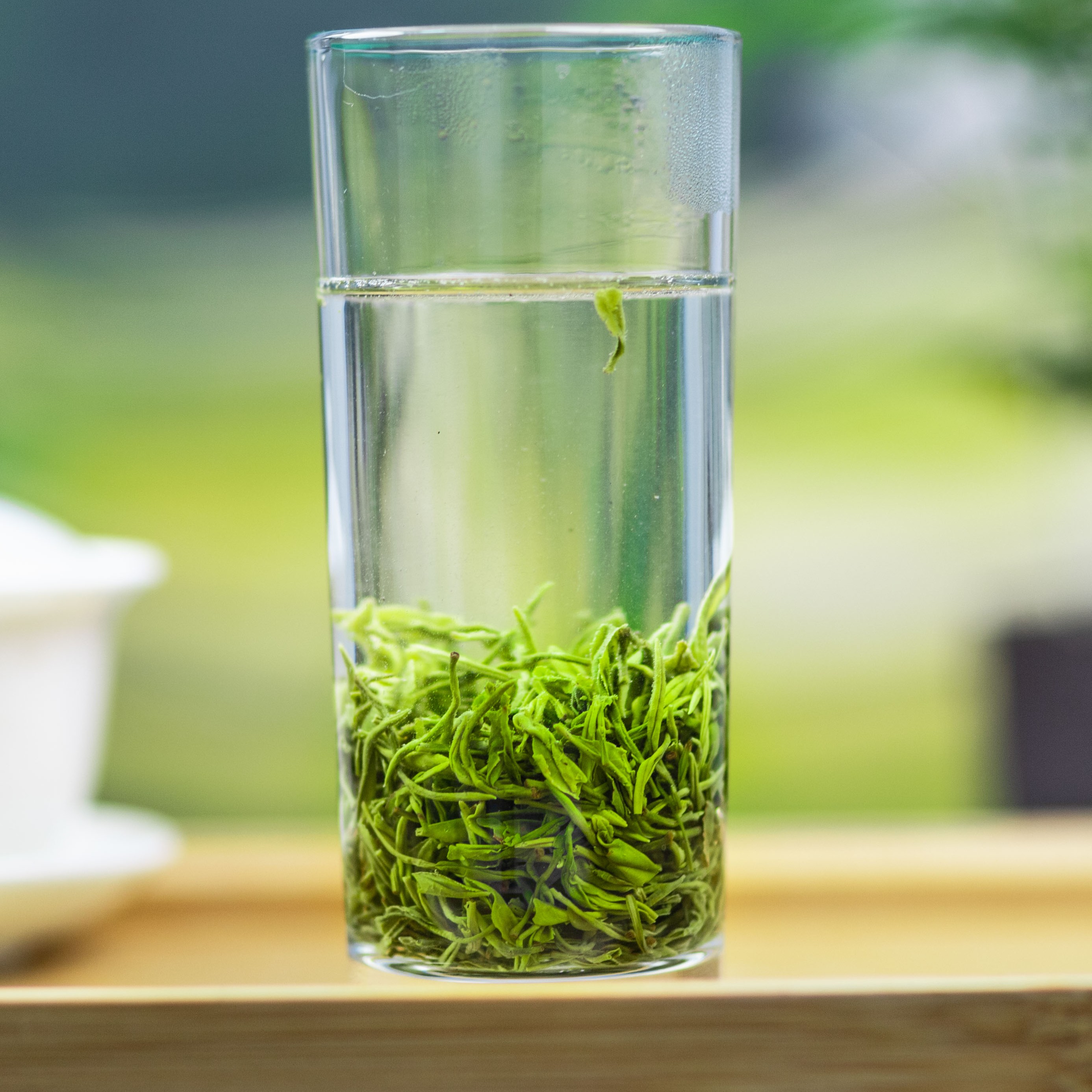 2025湖北竹溪春茶口粮茶高山云雾栗香绿豆汤浓香回甘口感淳厚148