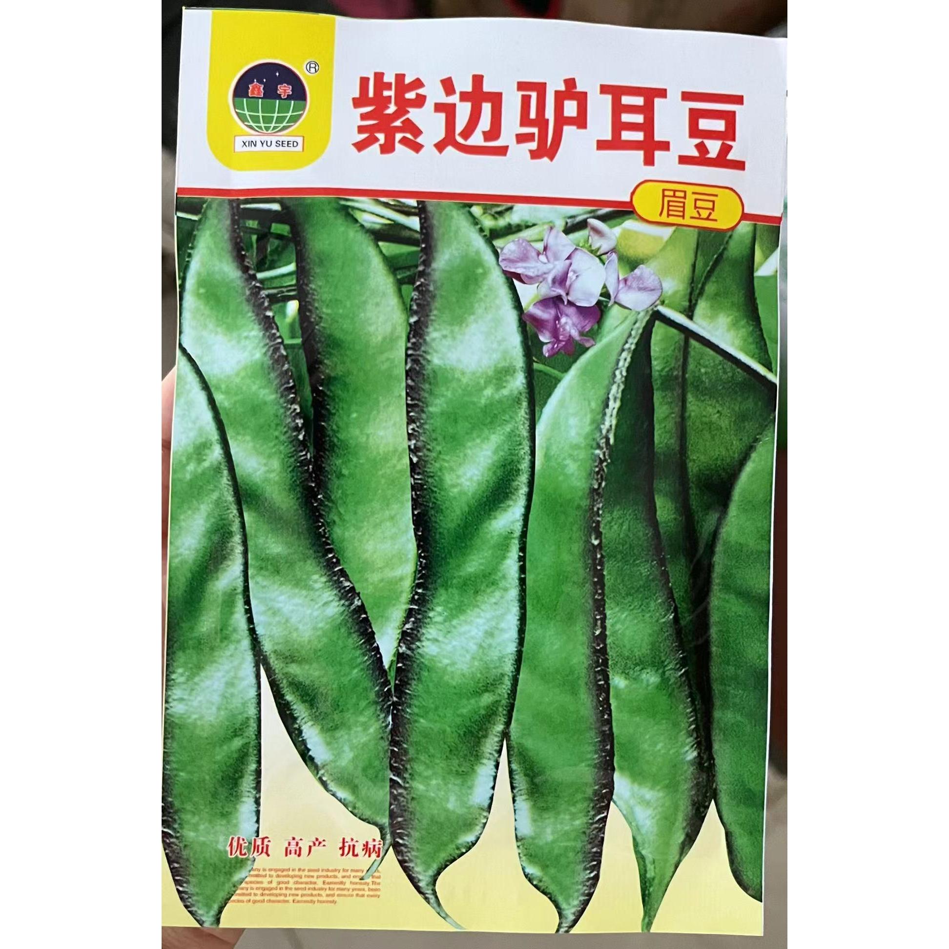 【种子】扁豆种子眉豆驴耳朵豆角籽