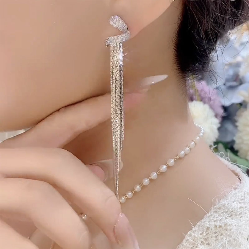 高级感超闪长款流苏耳环女新款潮银针镶嵌锆石日韩优雅耳饰批发
