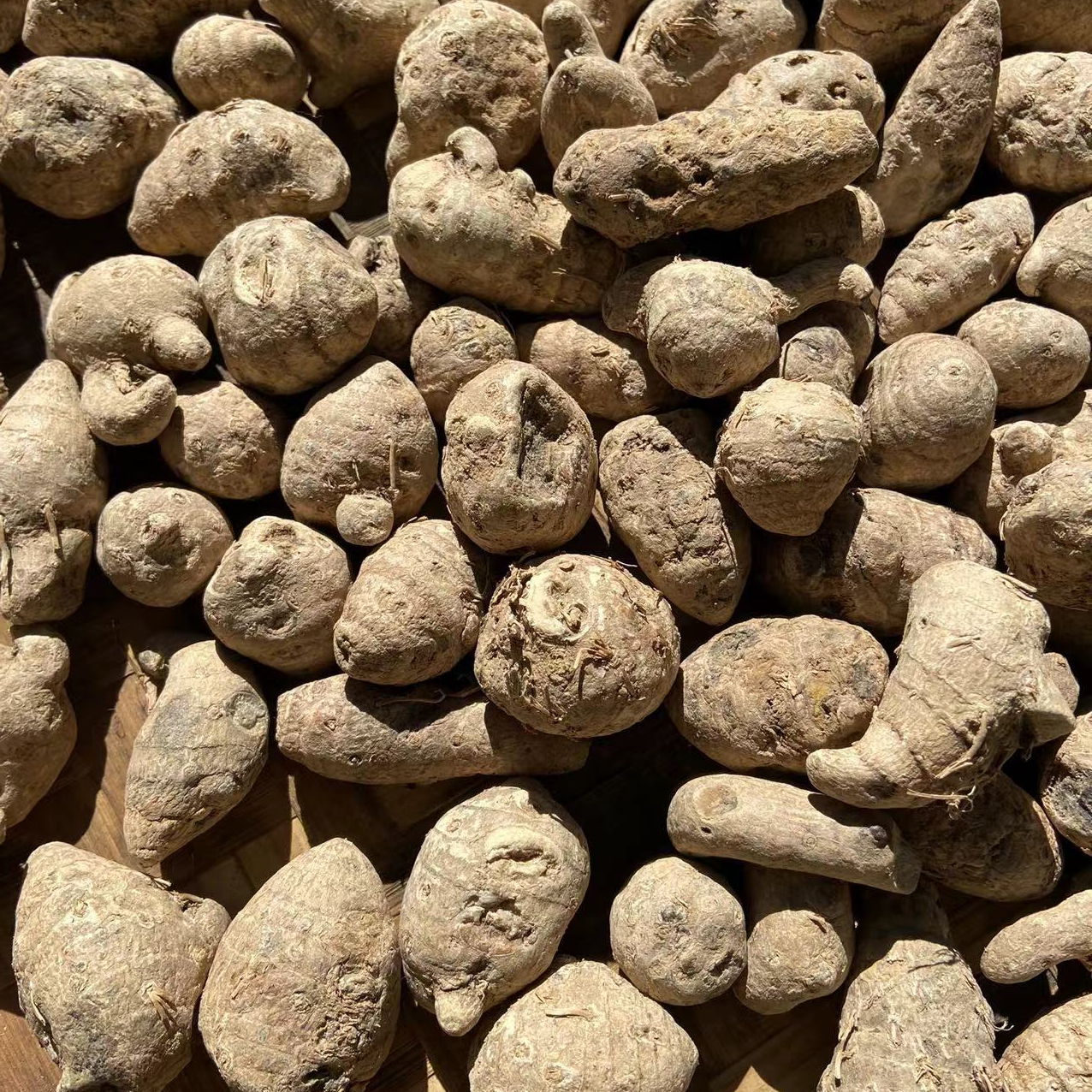 1【雪-三-七】净含量：500g-1500g【阿忠现收现卖】枸