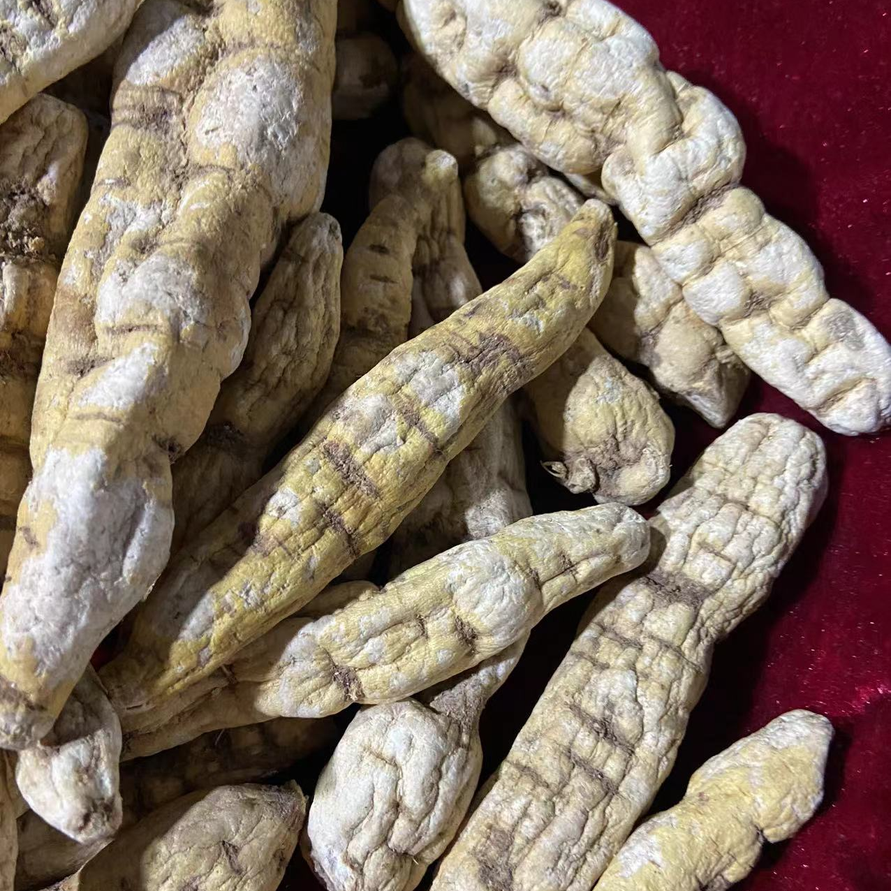 1【龙-鞭-参】净含量：250g-500g【阿忠现收现卖】枸