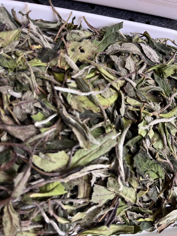 2024年三级白牡丹50克