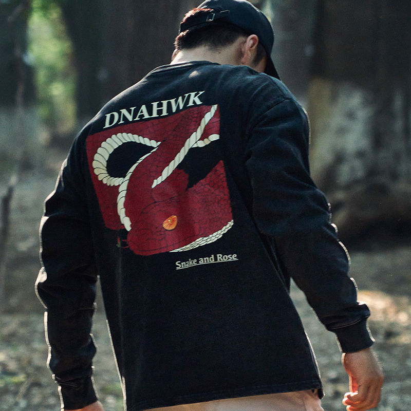 DNAHWK蛇与玫瑰水洗国潮美式复古男装长袖秋运动休闲纯棉健身T恤