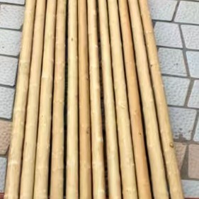 秦岭高山鞭干武术棍