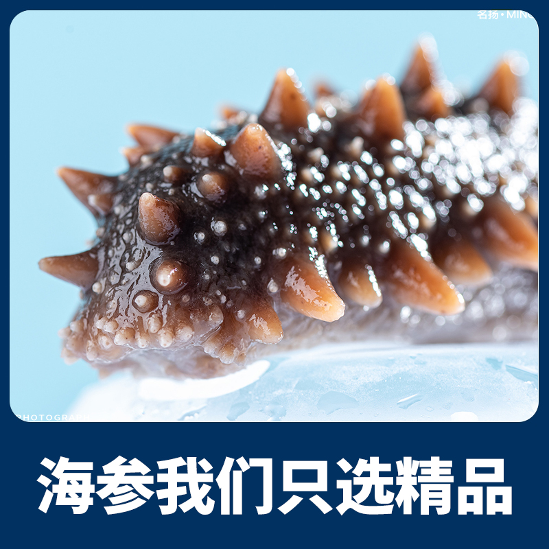 【国标海参】大连瓦房店深海纯淡干海参100-130头/斤优质营养