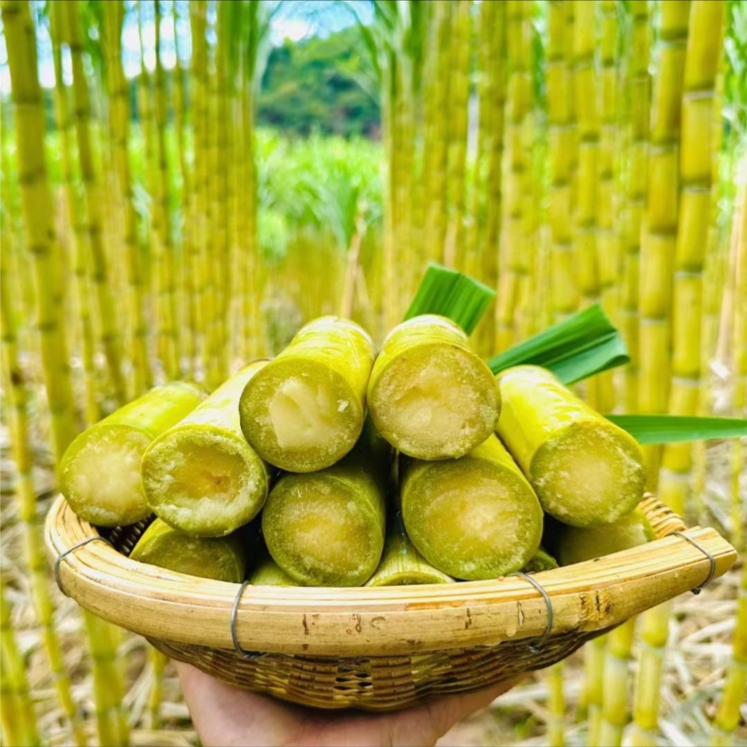 黄金甘蔗（包剥切）