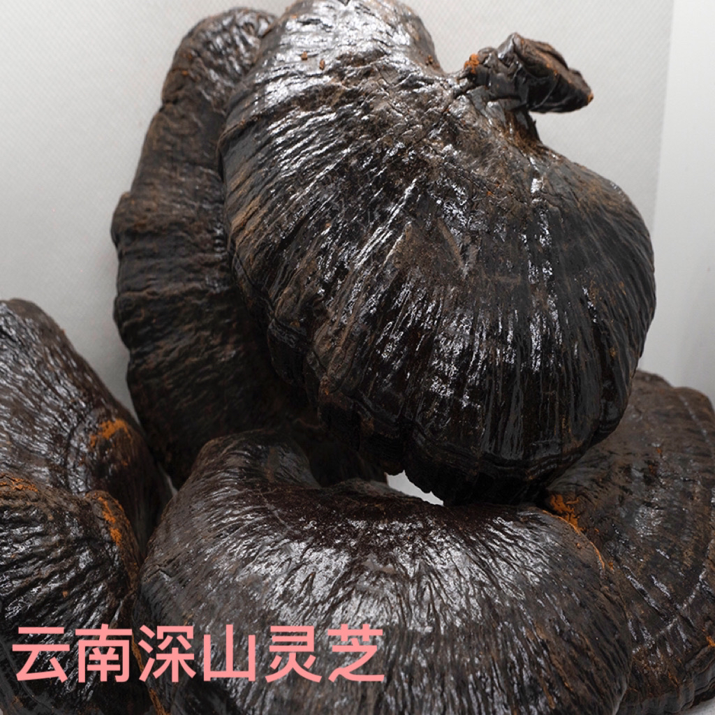 云南深山精选优质整朵泡水炖汤泡酒