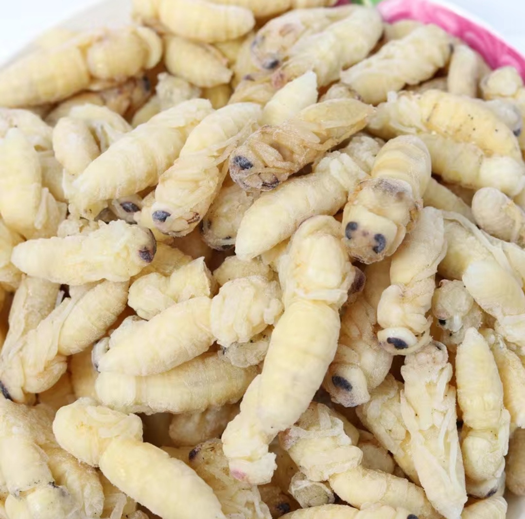 生鲜虎头蜂一二级冷冻蜂蛹