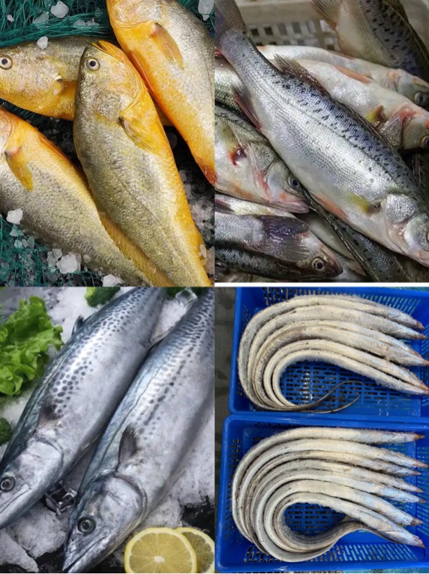 鲜鱼随意拼搭改价拍这个