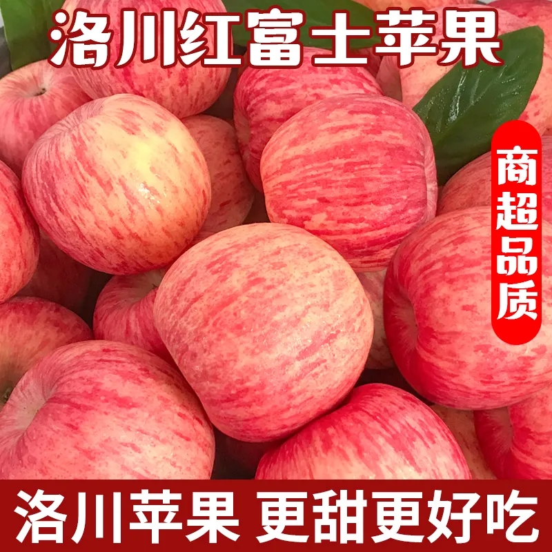 正宗陕西苹果水果正宗苹果苹果新鲜当季水果冰糖心当季丑苹果应季