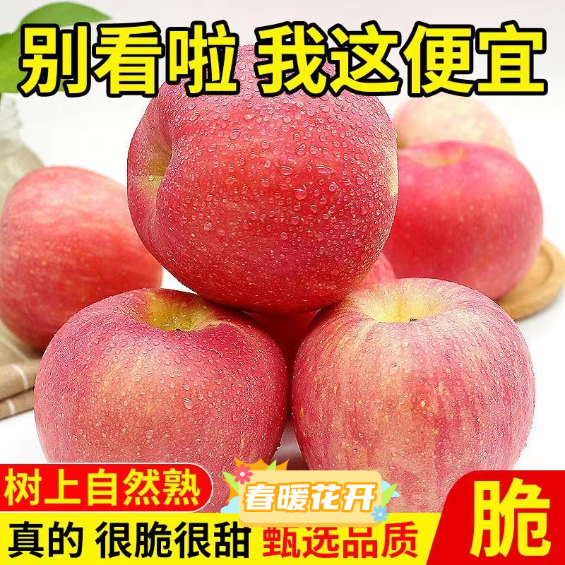 冰糖心苹果精选新苹果苹果糖心苹果新鲜水果红富士正宗红苹果水果