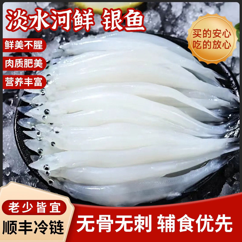 新鲜大号银鱼营养美味无骨无刺无鳞（每包120克净重）速冻小银鱼
