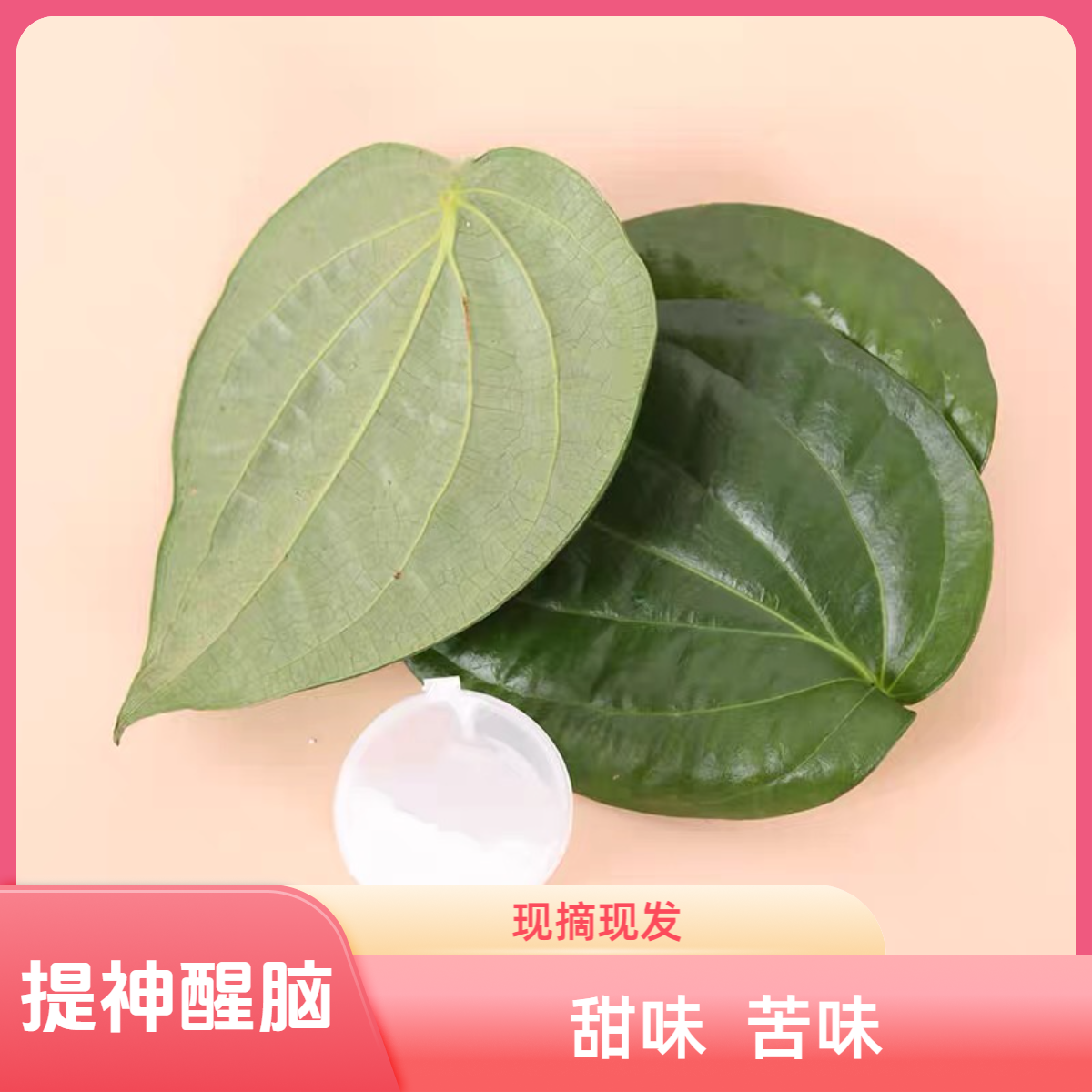 【小黑黑不黑专属】礼盒装海南槟果新鲜捞叶贝壳粉提神醒脑海南特产