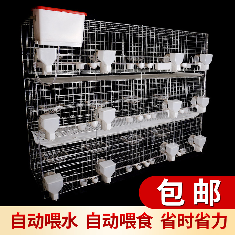 【小扬哥甄选】包邮鸽子笼家用用品12位养殖专用信鸽配对肉鸽繁殖