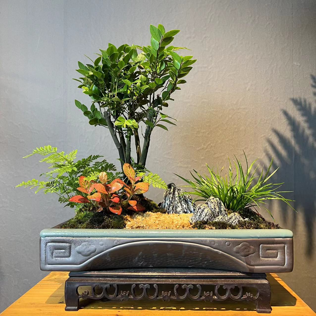 意/意境紫檀黑骨茶 室内好养老桩盆景盆栽绿植花卉客厅茶几美观