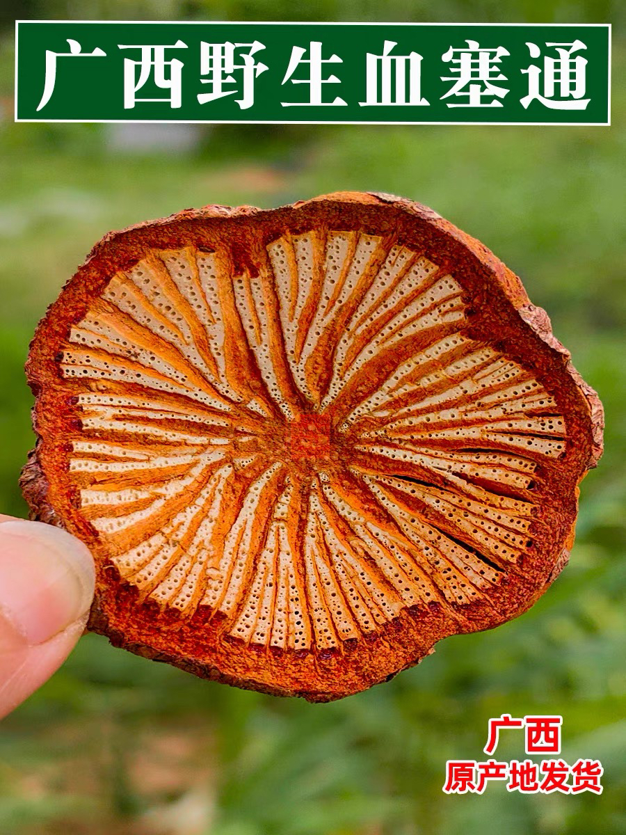 广西野生正品大血藤血塞通