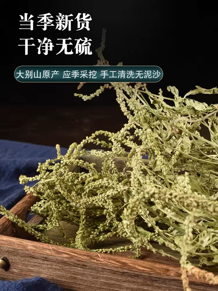 广西正宗野生车前草