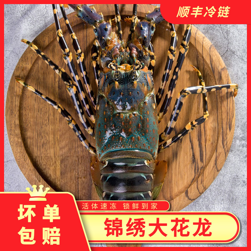 大花龙1-2斤活冻锁鲜干净打龙虾保鲜新鲜冷冻龙虾