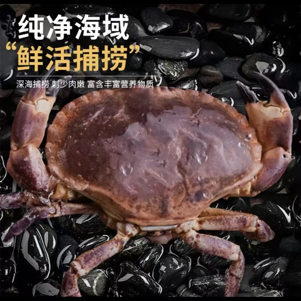 面包蟹4斤装活冻锁鲜干净保鲜新鲜活冻保存