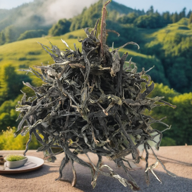 【昔归茶区】【不支持退换】精品大单株树龄600年以上（单株
