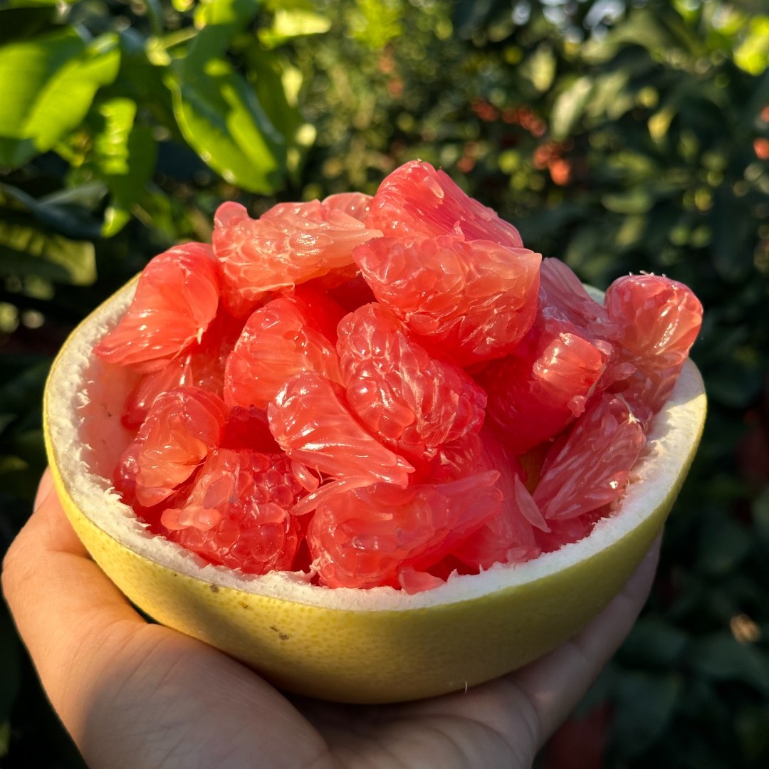 贵州红心蜜柚新鲜应季水果酸甜可口浓郁皮薄多汁现摘现发产地直发