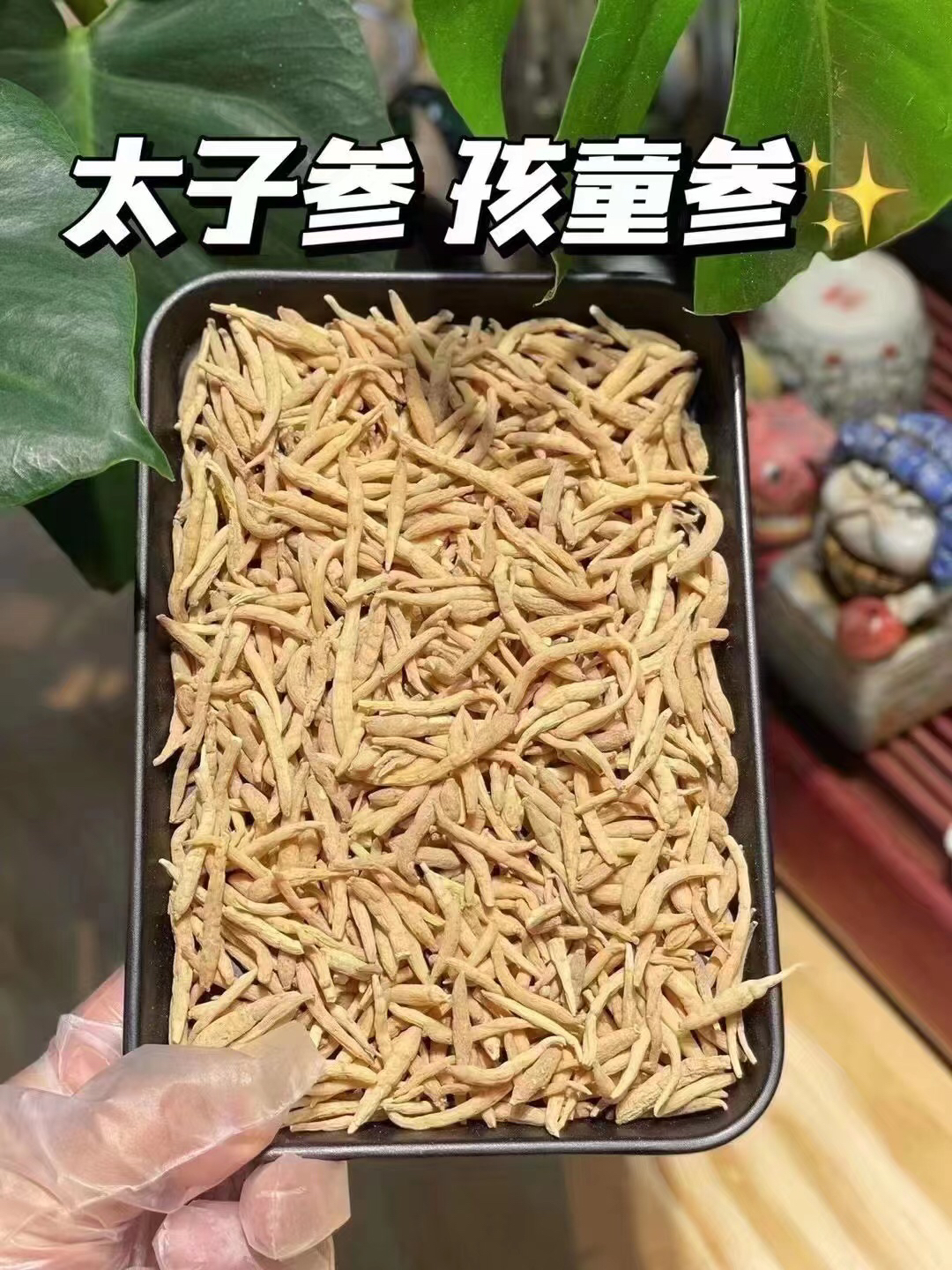 一级农产品太子参