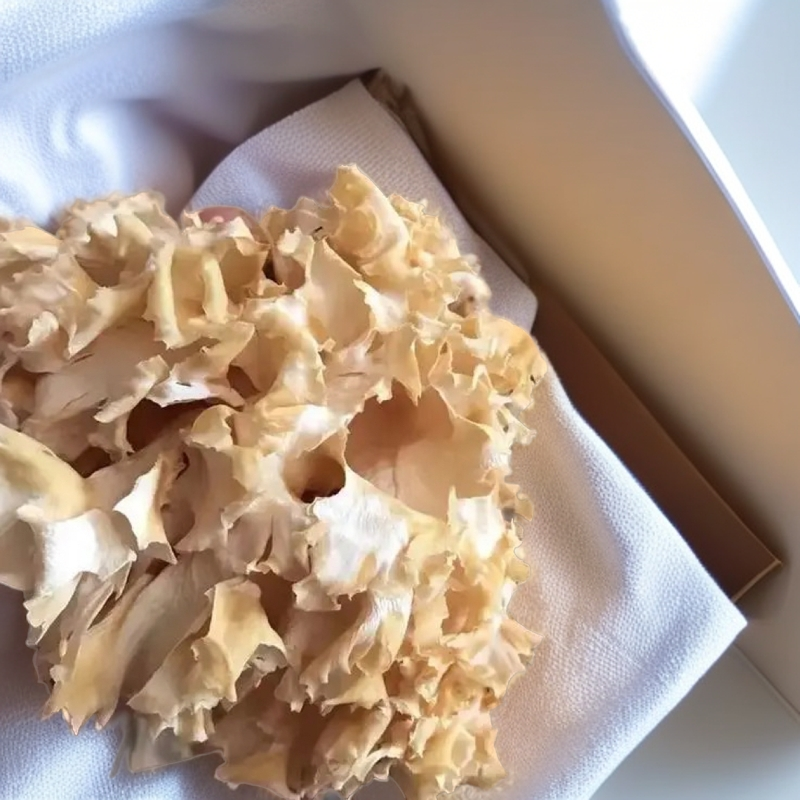 福建特产绣球菌干货