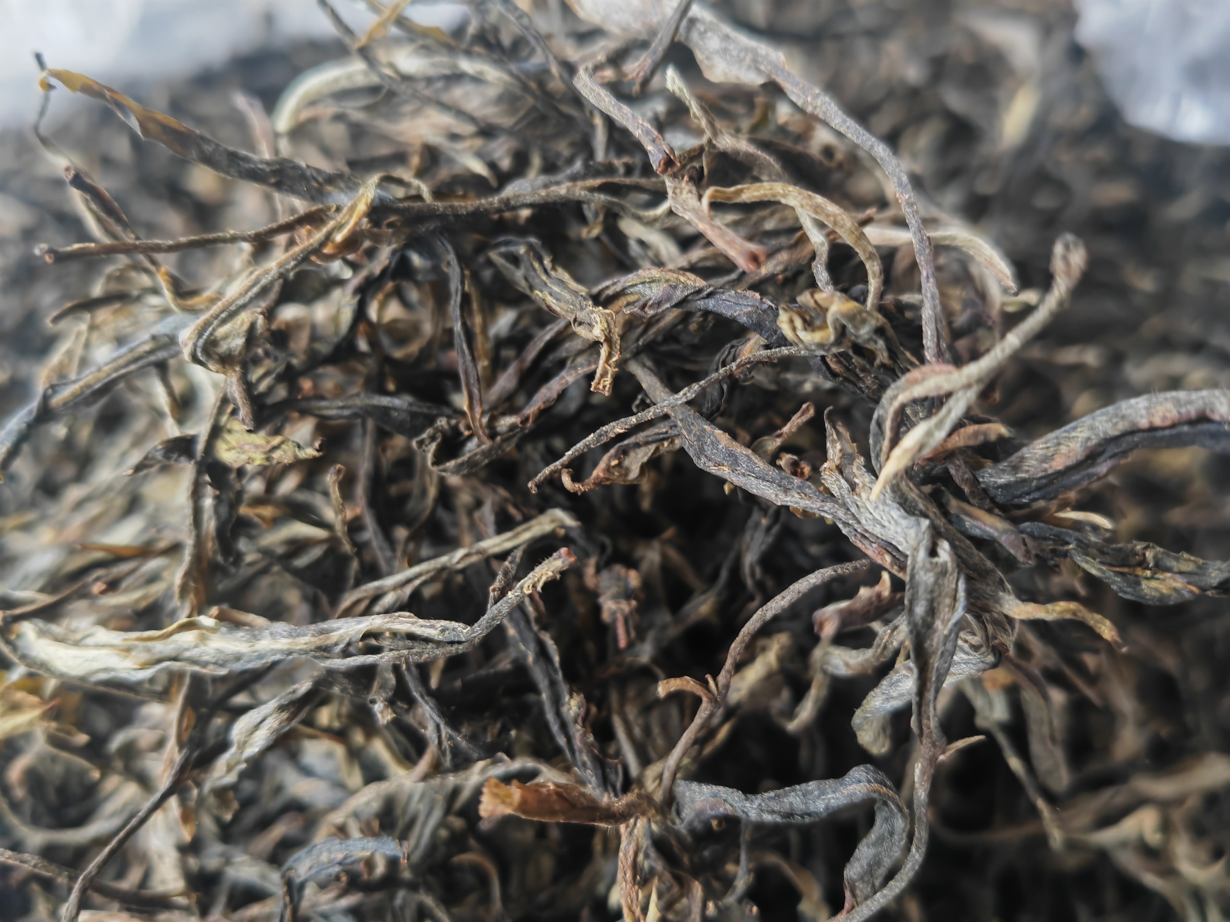 单株古树茶春茶生茶散茶高山蜜香清洌