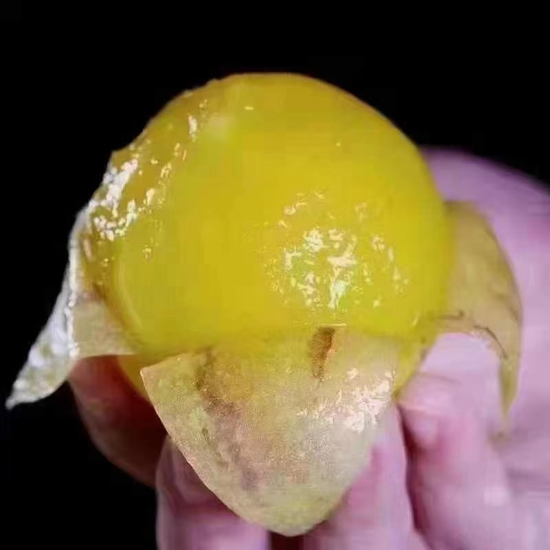石林小人参果3斤