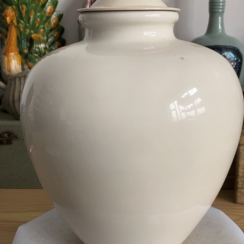 【闪购商品】陶瓷瓶一****室