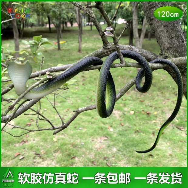 仿真蛇眼镜蛇软胶玩具蛇整人吓人塑胶加长大蛇鬼屋恐怖箱道具假蛇