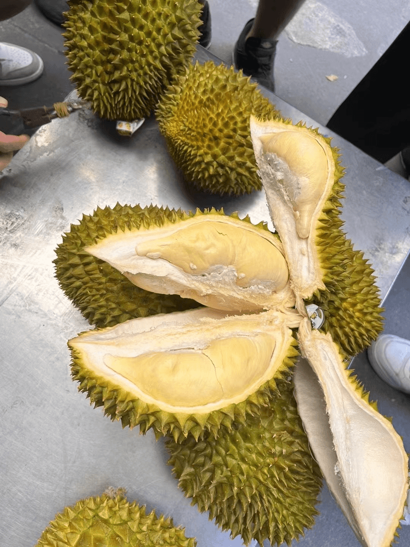 4  泰國金枕榴蓮一个(一物一拍)