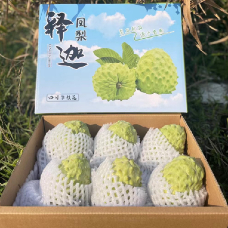 四川攀枝花牛奶凤梨释迦果大果超甜新鲜现摘孕妇水果佛头番荔枝果