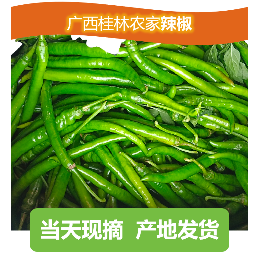 广西桂林农家辣椒