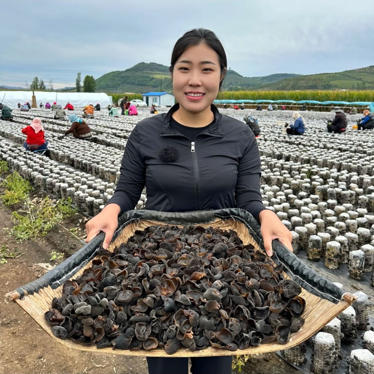 2025年秋木耳小碗耳自家种植东北东宁黑木耳新干货肉厚无根