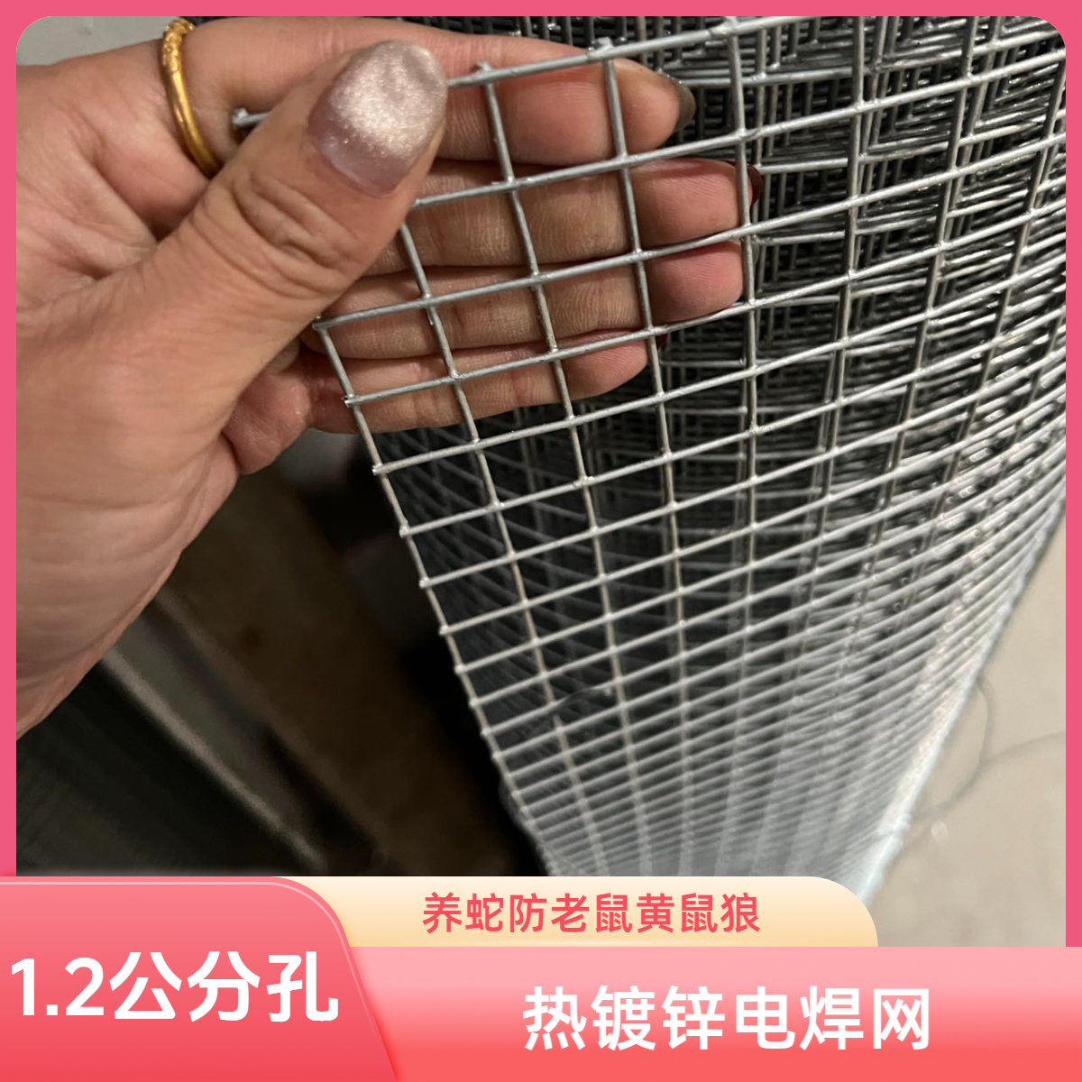 【2孔/1.2孔1.5孔】加密养蛇户外防老鼠黄鼠狼小孔热镀锌钢丝网养鸡