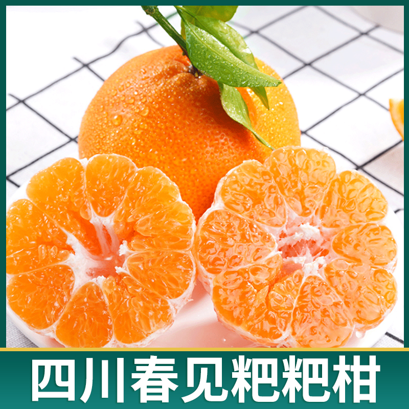 果辑【自然成熟】四川春见耙耙柑 新鲜应季 新鲜采摘 5-8斤