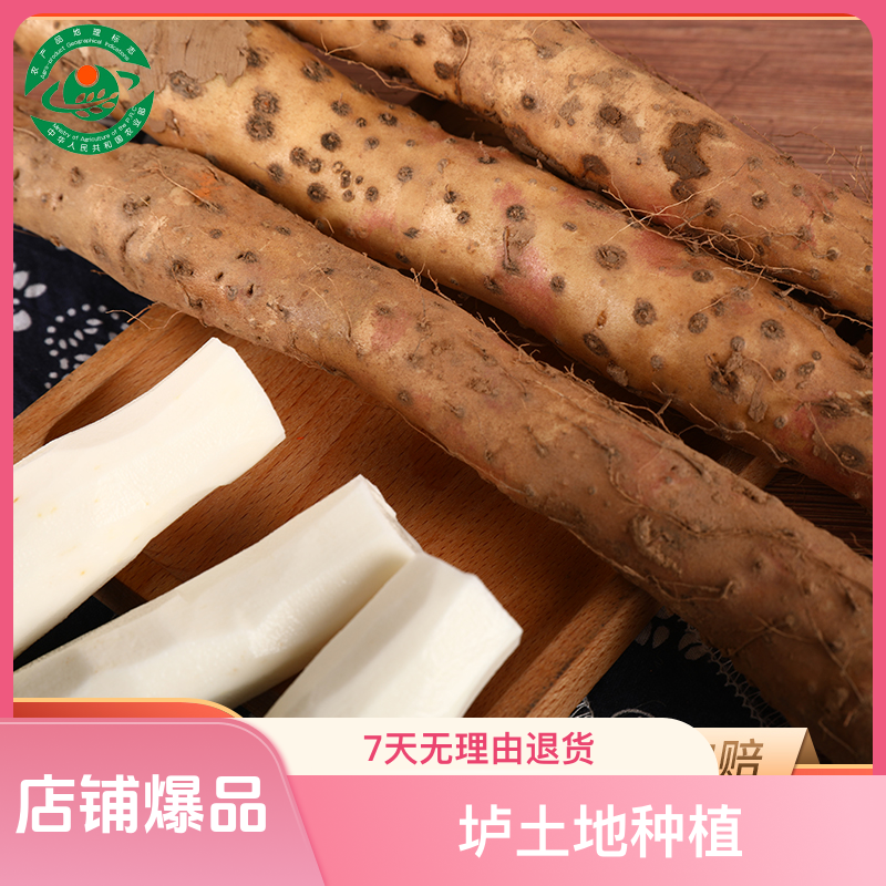 新鲜正宗铁棍山药温县怀山药垆土地家庭装5斤礼盒4.7斤