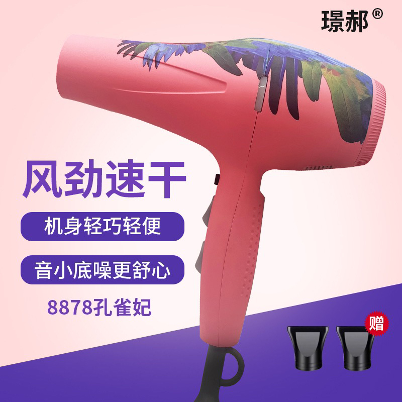 璟郝A800吹风机2300W发廊专用大功率静音造型速干电吹风