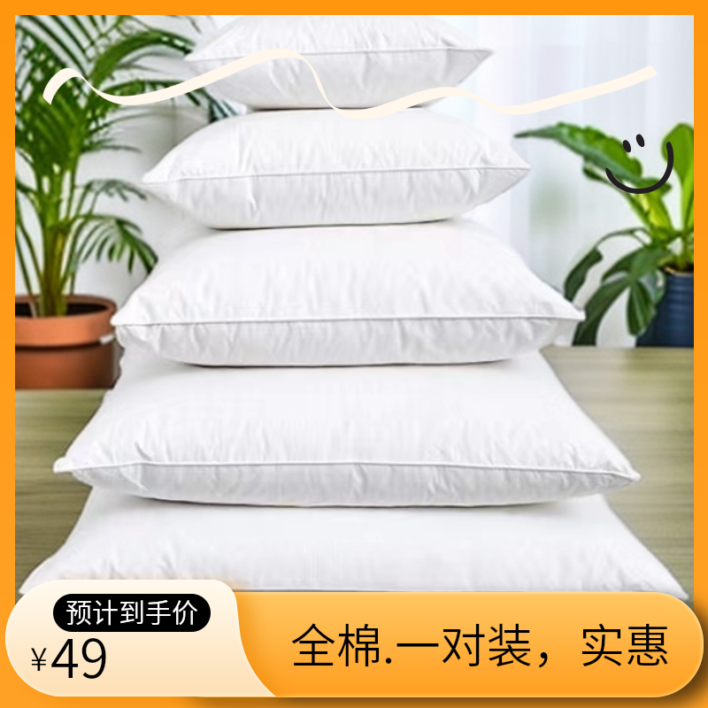 靠枕芯一对家用床头方形高弹酒店垫芯沙发套件靠背芯子宿舍结婚备