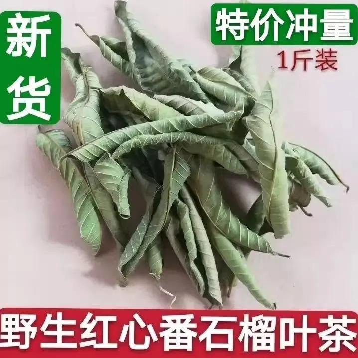 新鲜现摘广西红心番石榴叶茶芭乐叶茶自然晒干/1000