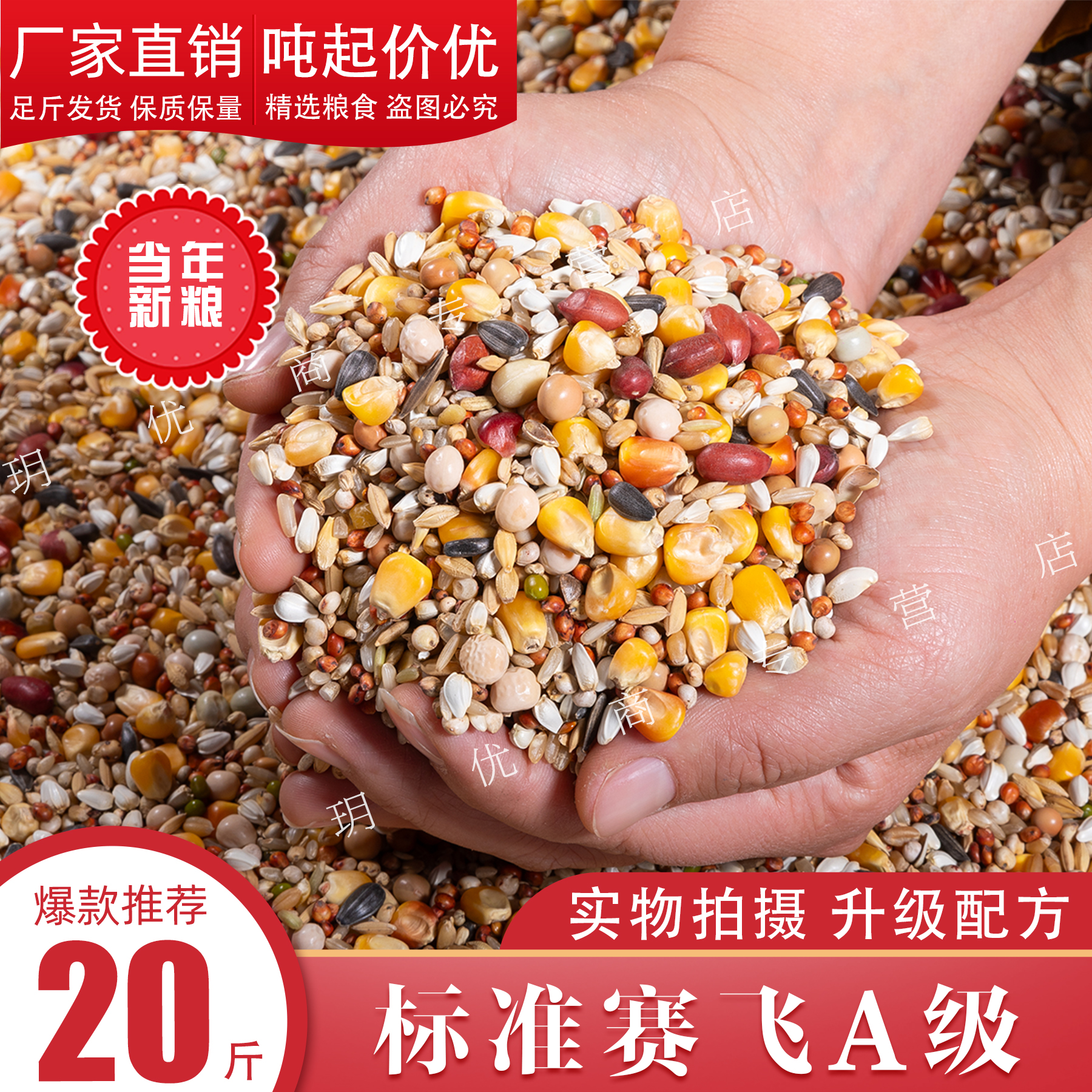 20斤装有玉米精品赛飞营养赛飞鸽粮赛鸽专用粮肉鸽信鸽饲料