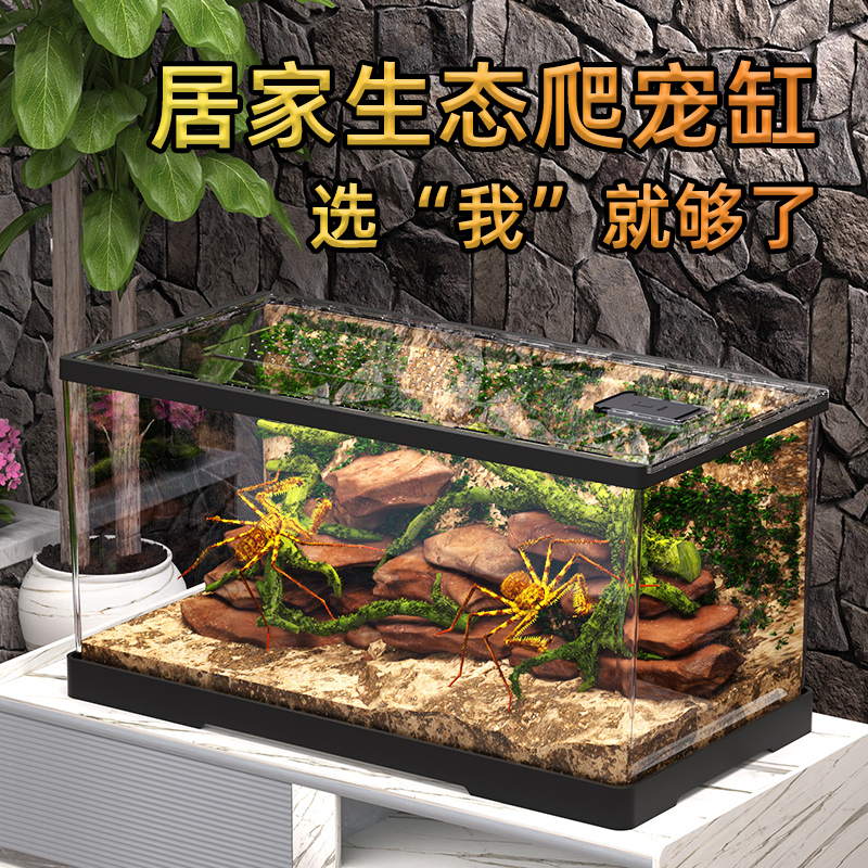 极乐鸟爬宠饲养箱蜘蛛角蛙守宫蜥蜴乌龟饲养缸雨林生态造景饲养盒